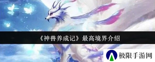 神兽养成记最高境界介绍
