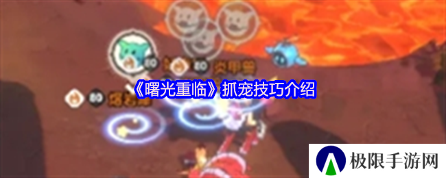 曙光重临抓宠技巧介绍