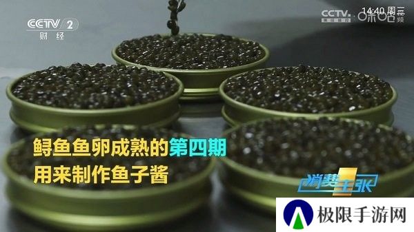Pn播放器