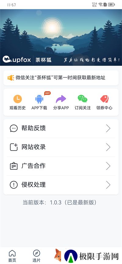 茶杯狐 Cupfox 茶杯狐