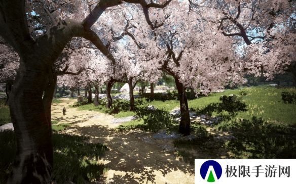 黑沙的春日樱花季，活动惊喜不断！