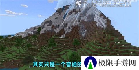 我的世界电影版