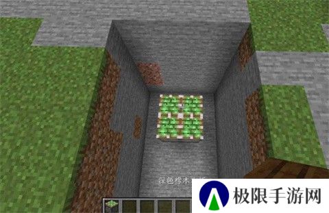 我的世界电影版