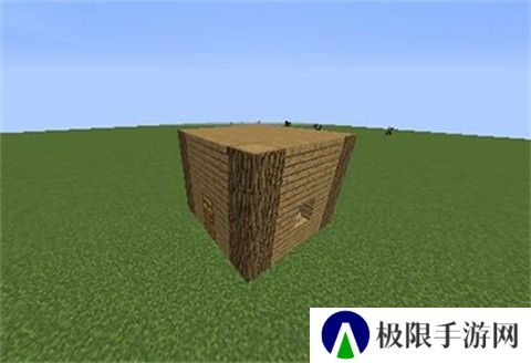 我的世界电影版