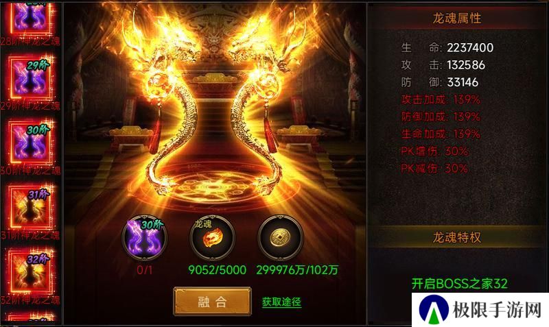 《剑影乱武》龙魂