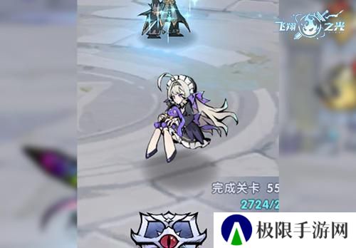 飞翔之光