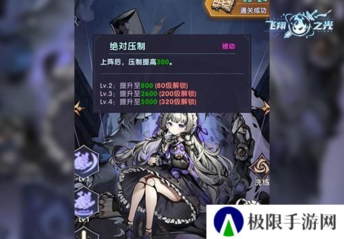 飞翔之光