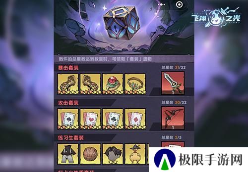 飞翔之光