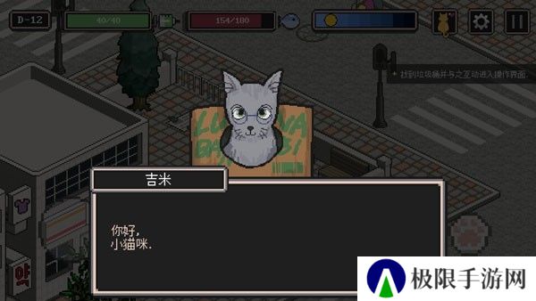 流浪猫的故事