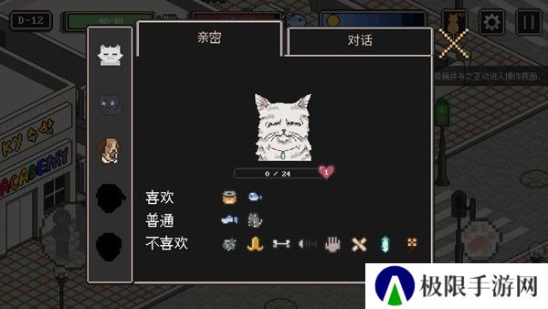 流浪猫的故事