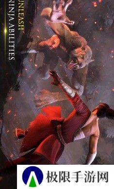 忍者武士隆3.2.6