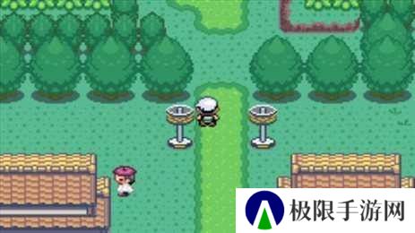 口袋妖怪究极绿宝石5.5手机版