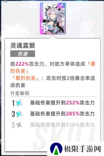 猫之城