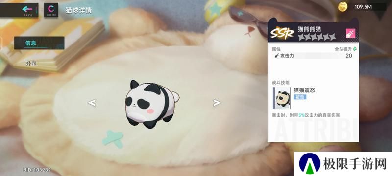 猫之城