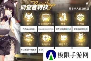 猫之城
