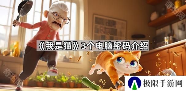 我是猫电脑密码是多少-3个电脑密码介绍