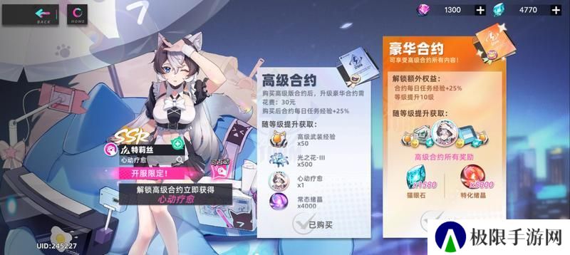猫之城