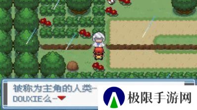 精灵宝可梦绿宝石随机版
