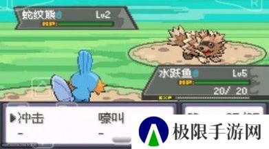 精灵宝可梦绿宝石随机版