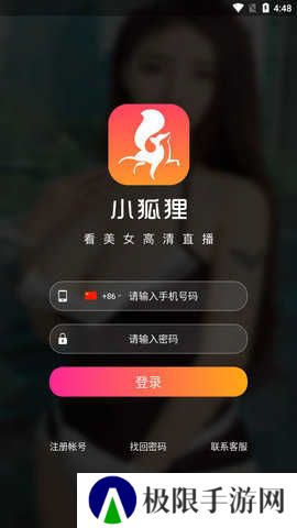 小狐狸直播