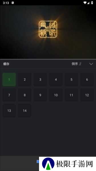 狮子影评
