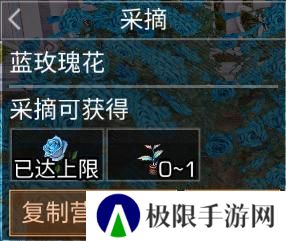《明日之后》异色玫瑰保姆级攻略手把手教学兑换