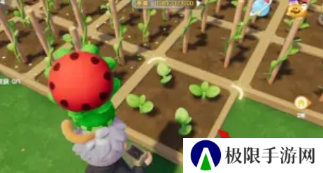 《心动小镇》奇灵夜季南瓜雕刻任务攻略