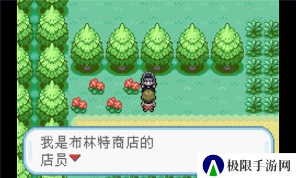 口袋妖怪火红叶绿版