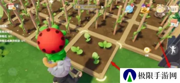 《心动小镇》南瓜种植方法