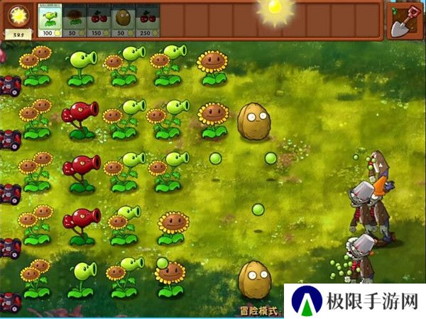 PVZ高数带我飞
