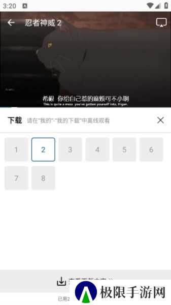 雪豹视频图片6