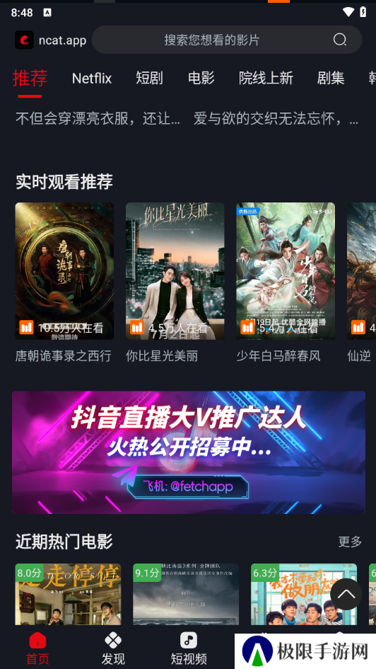 网飞猫