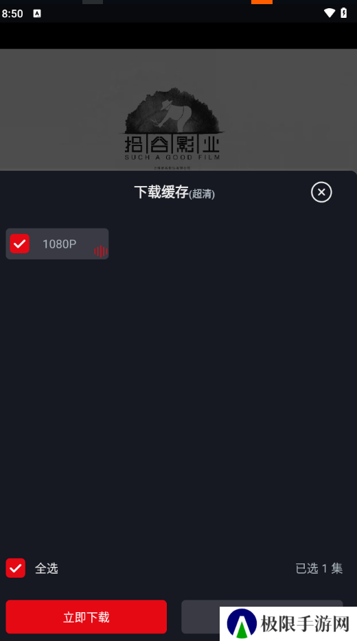 网飞猫