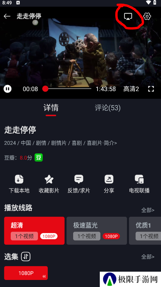 网飞猫