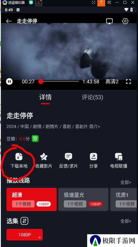 网飞猫