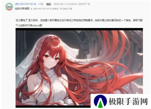 今年虎扑女神大赛，《龙族》粉丝集体演了一出“越共探头”