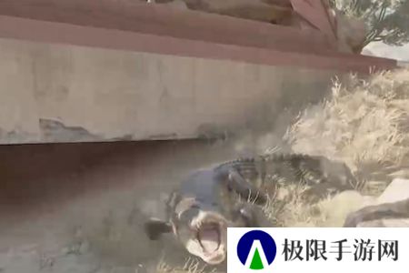 《三角洲行动》鳄鱼用途介绍