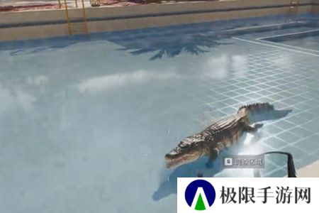 《三角洲行动》鳄鱼用途介绍