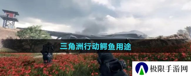 三角洲行动鳄鱼有什么用-鳄鱼用途介绍