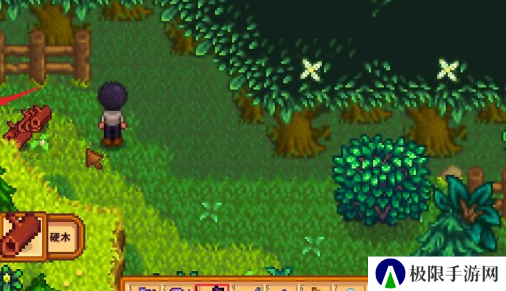 《星露谷物语》森林解锁方法