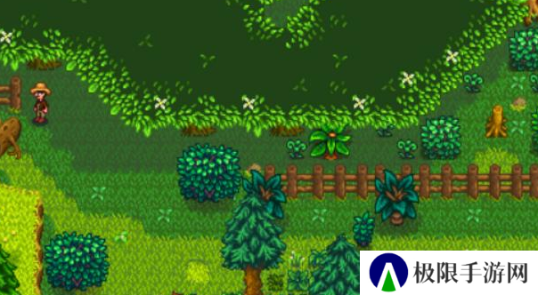 《星露谷物语》森林解锁方法