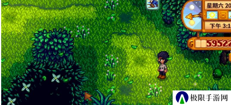 《星露谷物语》森林解锁方法