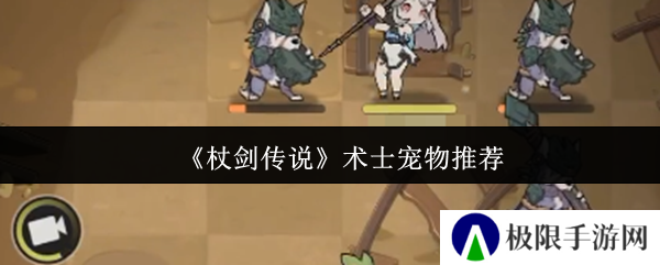 《杖剑传说》术士宠物推荐