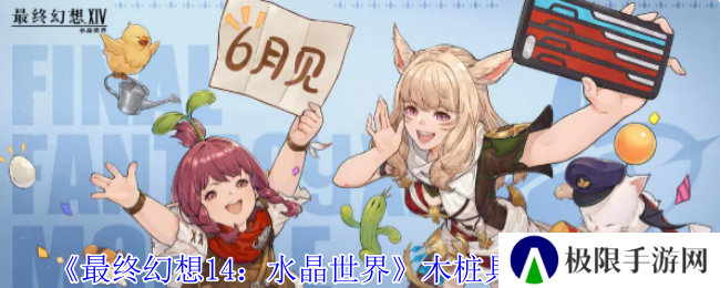 《最终幻想14：水晶世界》木桩具体位置介绍