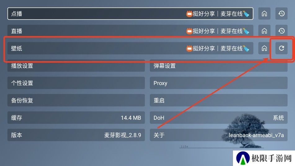 麦芽影视
