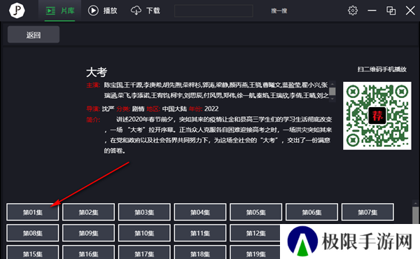 荐片播放器