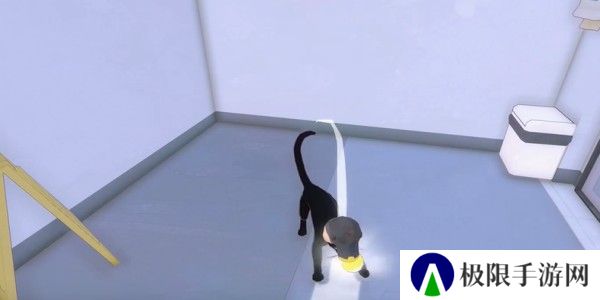 小猫咪大城市饭团帽怎么收集