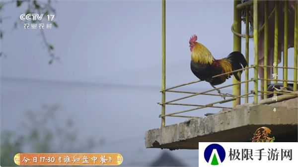 全能看tv