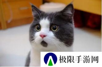 逆水寒2