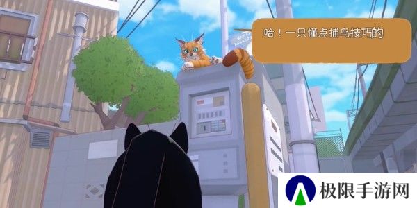 小猫咪大城市伸个大懒腰动作怎么获得